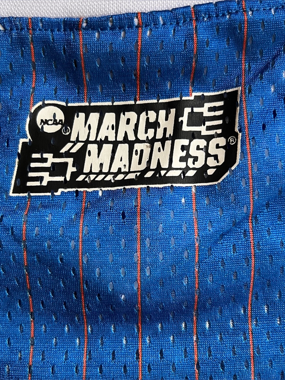 Champion Space Jam 30th Anniversary #96 Mesh Basketball Jersey Youth Large - Picture 8 of 8